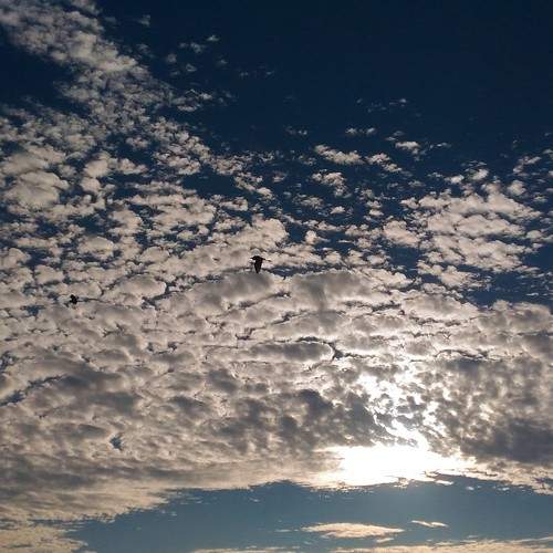 The sky