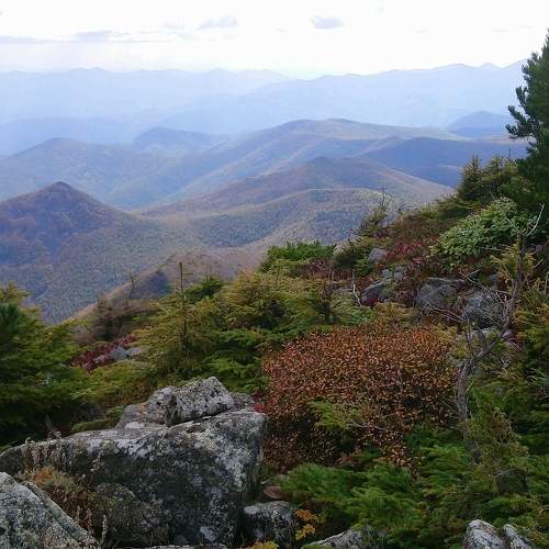 Photo #5829184