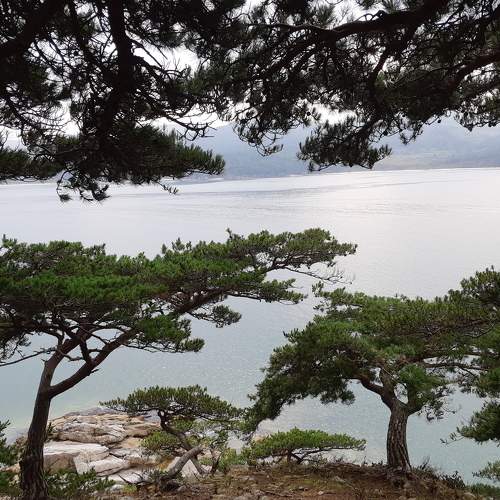 Photo #5829308
