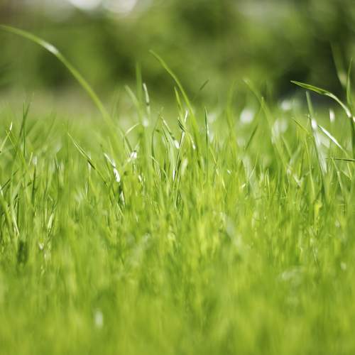 Photo #5829404