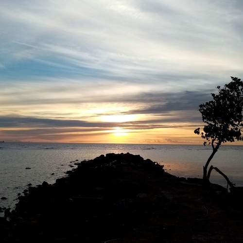 Photo #5829528
