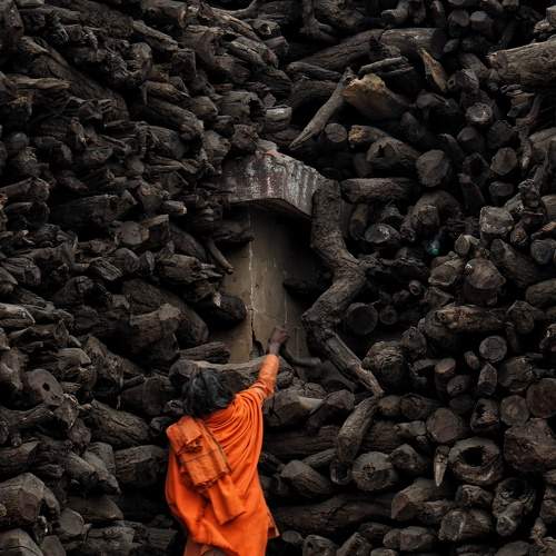Photo #5829635