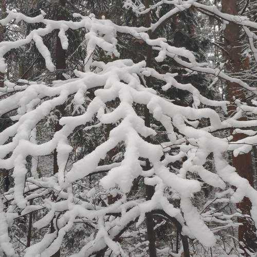 Photo #5829689