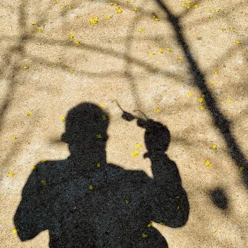 Alone under sunshine