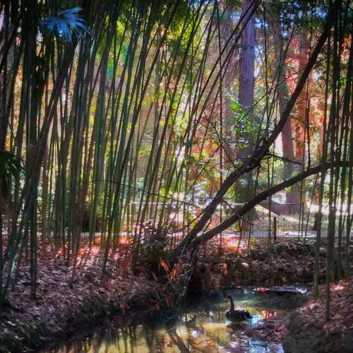 Photo #5829896