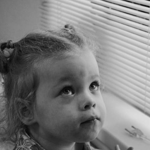 Photo #5830439
