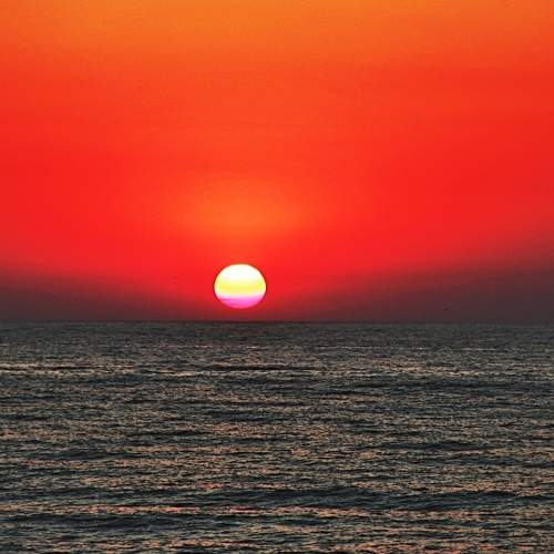 Photo #5830584