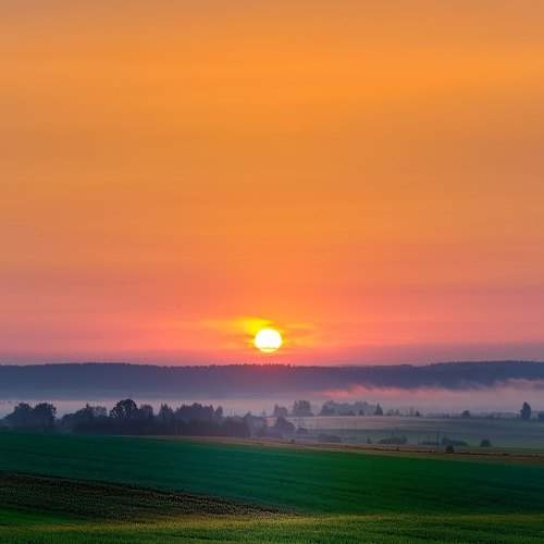 Photo #5830636