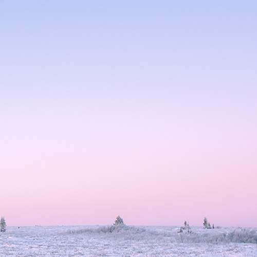 Photo #5830651