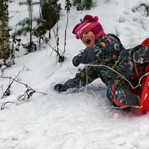 Photo #5830675