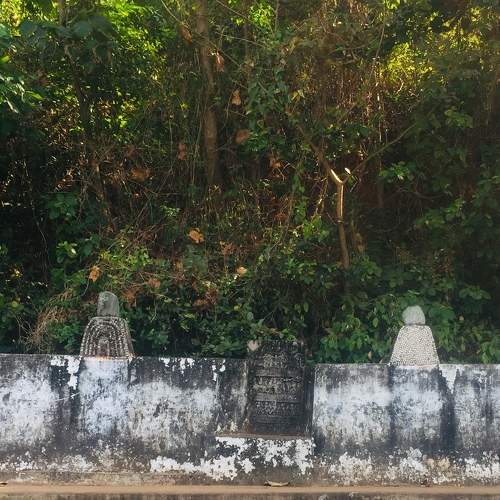 Photo #5830785