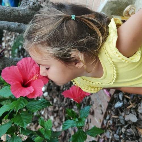 Photo #5830822