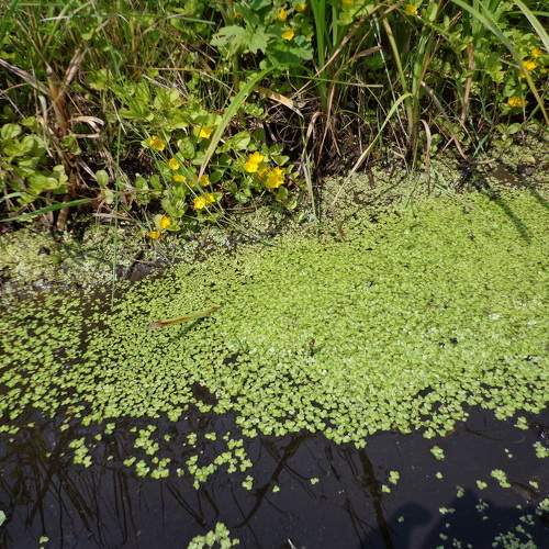Photo #5830852