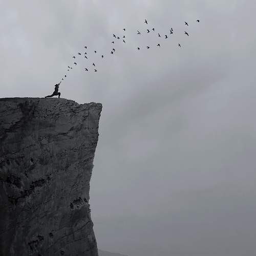 Flight