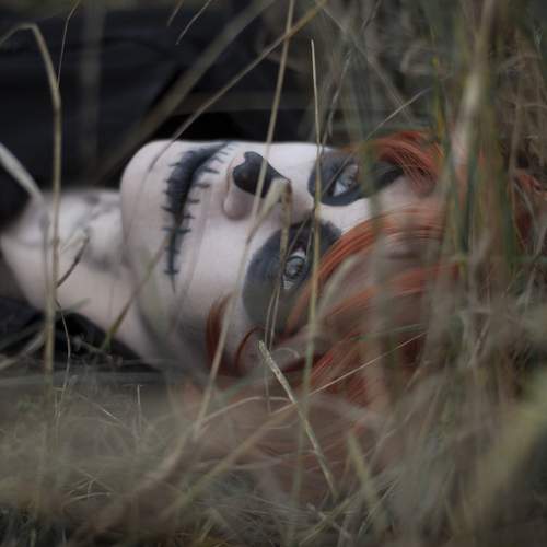 Photo #5830901