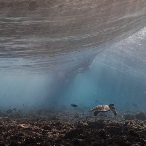 Photo #5831016
