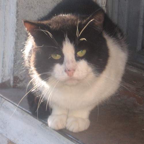 Photo #5831019