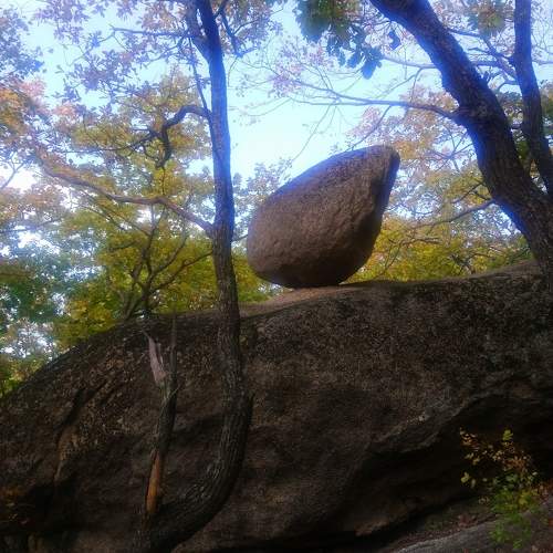 Photo #5831058