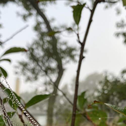 Photo #5831067