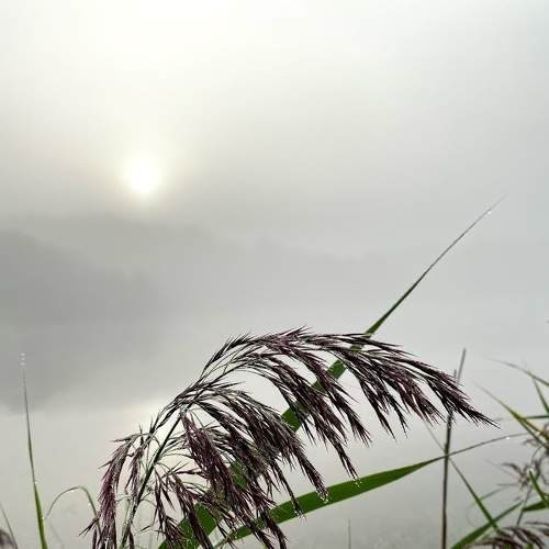 Photo #5831125