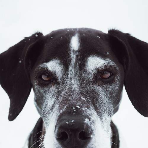 Photo #5831280