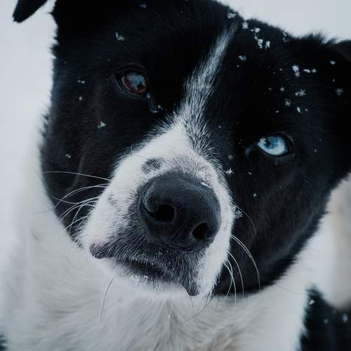 Photo #5831282