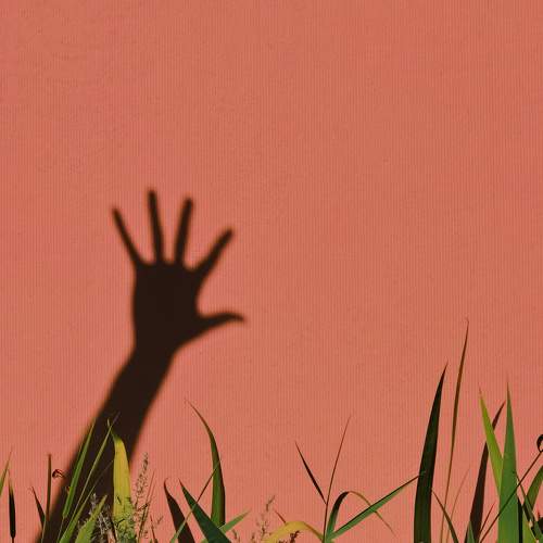Photo #5831320