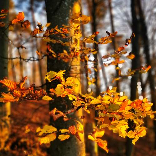 Photo #5831807