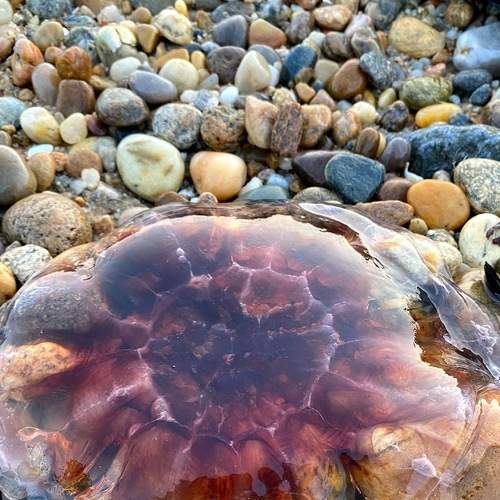 Photo #5831919