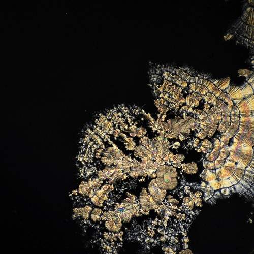 crystallization under microscope .