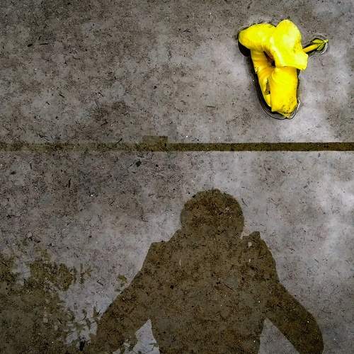 Photo #5832104