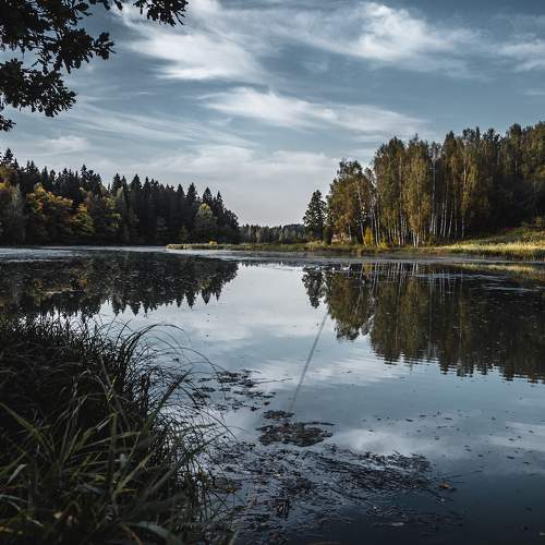 Photo #5832164