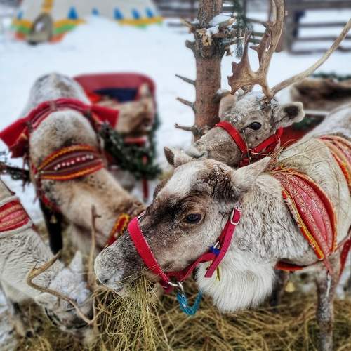 Photo #5832210