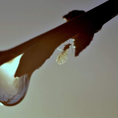 Photo #5832263