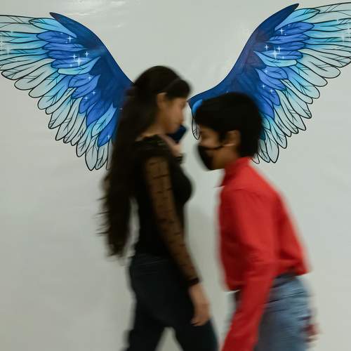 Fly Walk