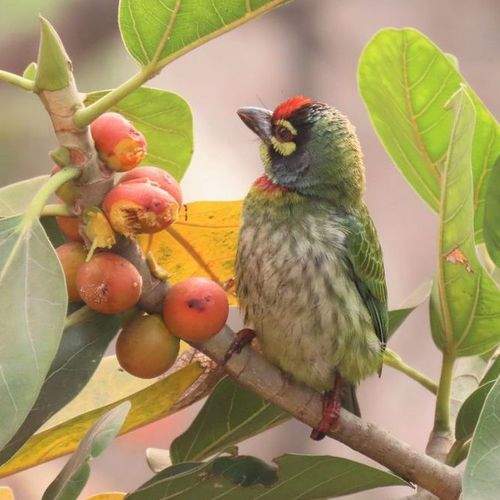 Photo #5832464
