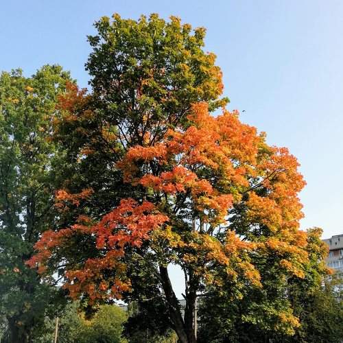 Photo #5832506