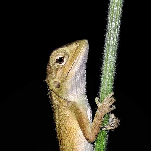 Photo #5832540