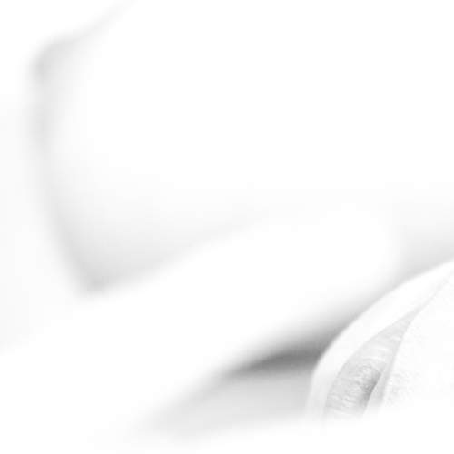Photo #5832561