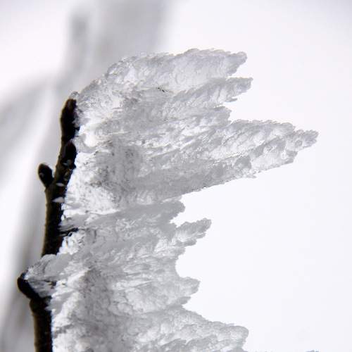 Photo #5832569
