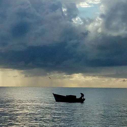 Photo #5832818
