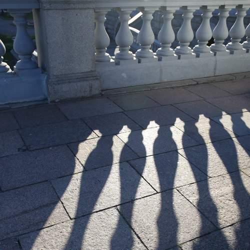 Photo #5832839