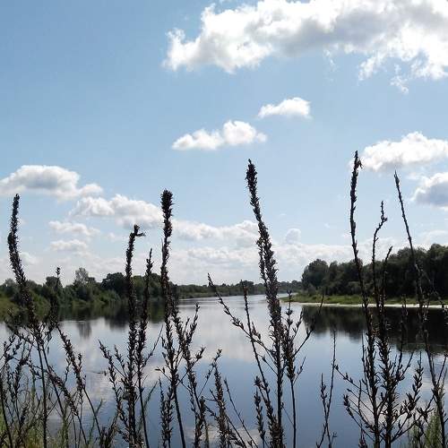 Photo #5832844