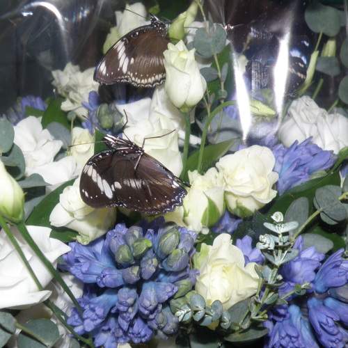Photo #5832898