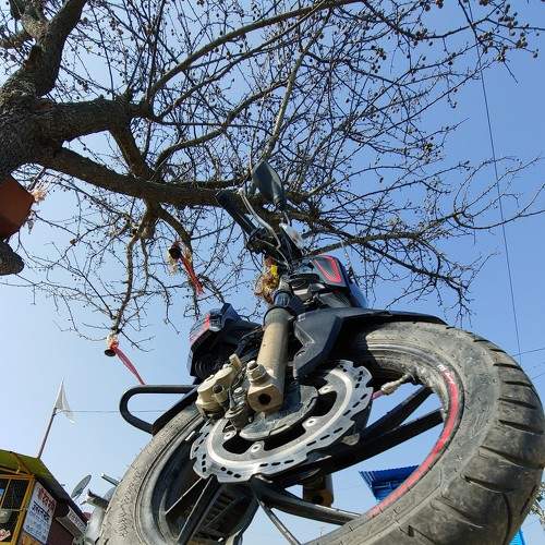 Photo #5832925