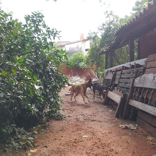 Photo #5832964