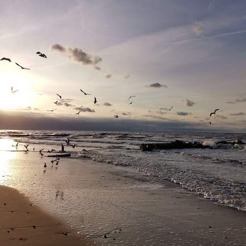 Photo #5833066