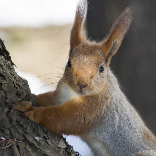 Photo #5833074