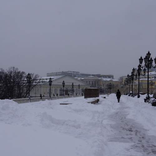 Photo #5833076