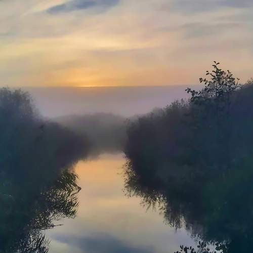 Photo #5833134